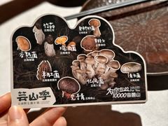 -芸山季·云南野生菌火锅(人民广场来福士店)