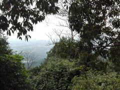 -火炉山森林公园