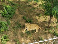 -石家庄市动物园