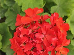 -秦扬居特色菜馆(上王村)