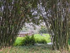 -龙头寺公园
