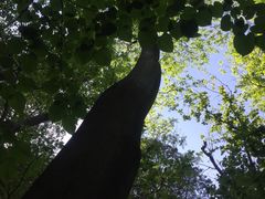 -北京上方山国家森林公园