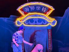 -大连圣亚海洋世界