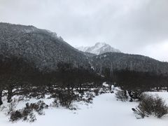-石卡雪山