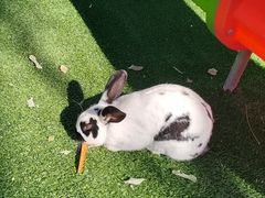 -北京鹿世界主题园