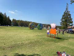 -黄海国家森林公园