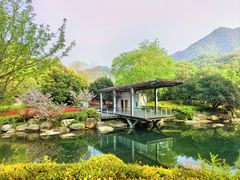 -逸廊大堂吧-下午茶·简餐-千岛湖自由洲际殿