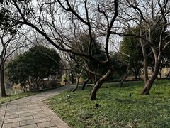 -长兴太湖图影湿地文化园