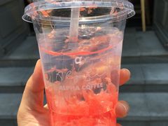 红柚苏打-ALPHA COFFEE阿尔法咖啡(虹莘路店)