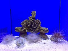 -青岛海底世界-水族馆