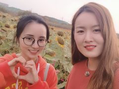 -映月湖中央公园