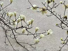 -黎阳老街