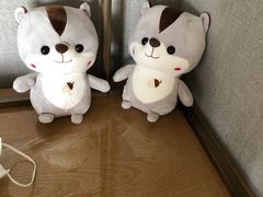-上海佘山世茂艾美酒店