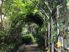 -南山植物园