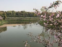 -嘉北郊野公园