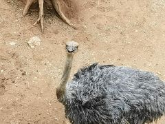 -昆明动物园
