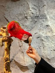 -Zoolung Zoolung动物主题公园(海信广场店)