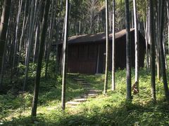 -东明山森林公园