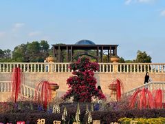 -东莞植物园