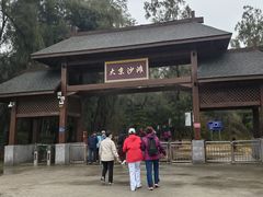 -大京沙滩