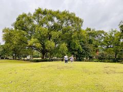 -Club Med地中海俱乐部·桂林度假村