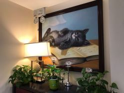 -咪咪比基尼脱毛专业店