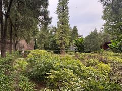-洛阳白马寺