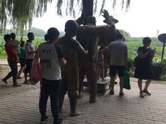 -白洋淀景区