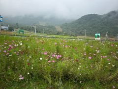 -西岭雪山大飞水景区