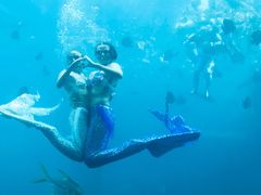 -瑞德姆美人鱼海底演艺主题餐厅(亚龙湾店)