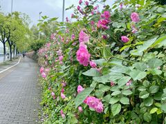 -石湖景区