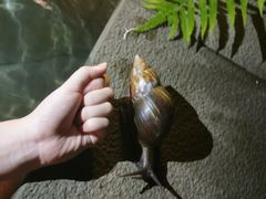 -福州贵安·温泉世界