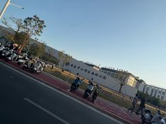 -中山市树木园