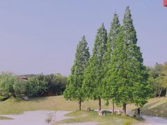 -南京银杏湖乐园