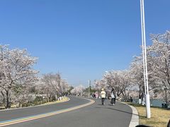 -羊山湖公园