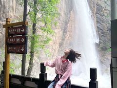 -洛阳白云山景区