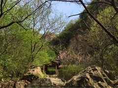 千佛崖风景区-千佛崖风景区