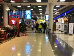 -谢列梅捷沃国际机场