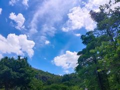 -火炉山森林公园