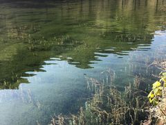 -沕沕水生态风景区