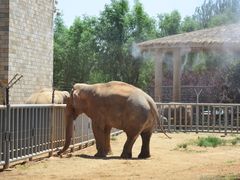 -石家庄市动物园