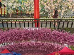-南汇桃花村