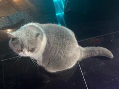 -暗楼·剧本杀·桌游