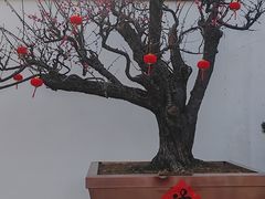 -龙华寺