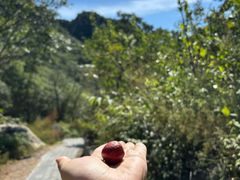 -大岭沟猕猴桃谷风景区