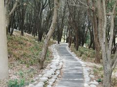 -贮水山儿童公园