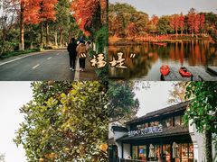 -西溪国家湿地公园