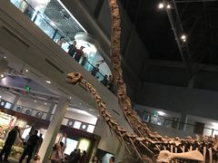 -自贡恐龙博物馆