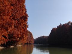 -上海海湾国家森林公园