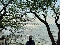 -宝安西湾红树林湿地公园